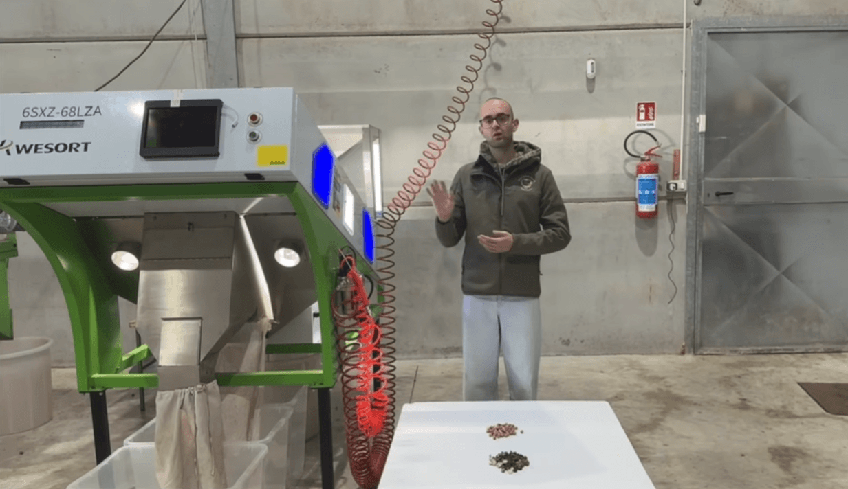 How an Italian Farm Improved Raw Hazelnut Quality with WESORT Sorting Technology