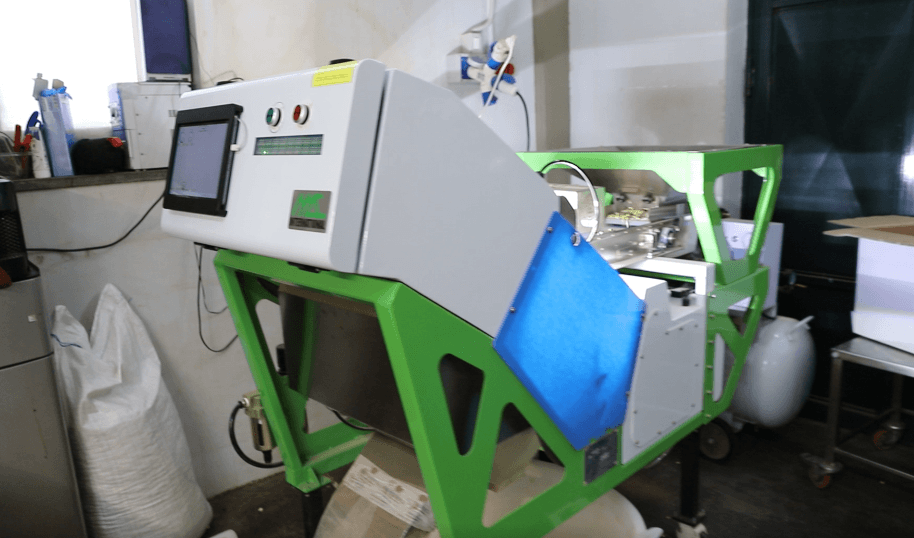 Italian Pistachio Processor Cuts a Full Day of Manual Sorting to a Few Hours with WESORT