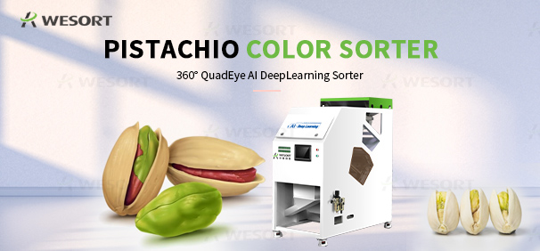 Cómo elegir una máquina clasificadora de pistachos para procesadores turcos