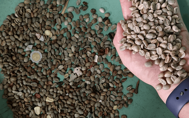Café de proceso