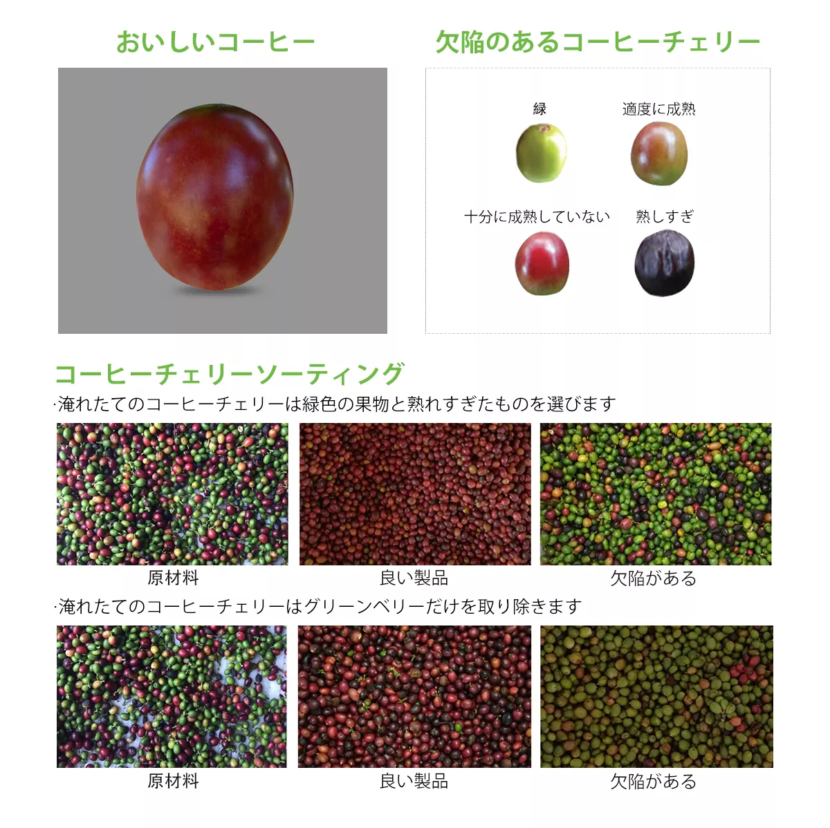 コーヒーカラーソーター -WESORT
