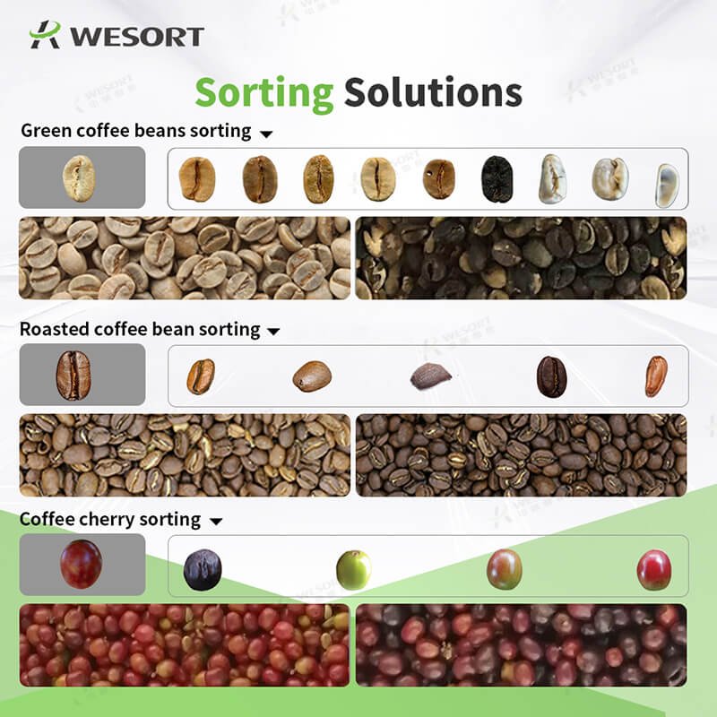 Comment améliorer la qualité des grains de café avec un trieur de couleurs