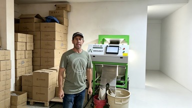 Caso del cliente: el clasificador de colores WESORT ayuda al negocio mexicano de semillas y granos a mejorar la calidad de clasificación