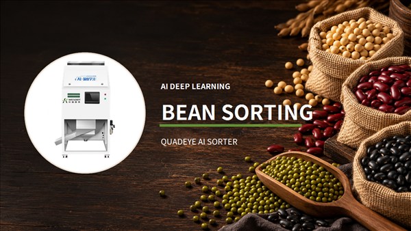 QuadEye-bean-sorter.jpg