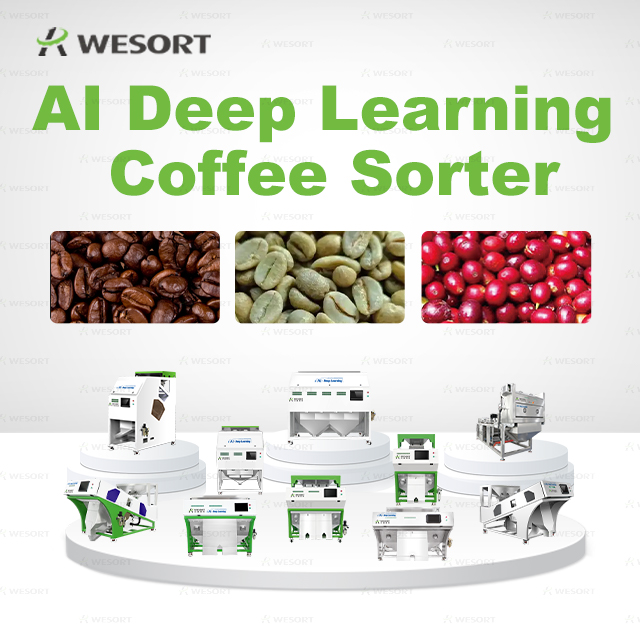 Comment WESORT aide les transformateurs de café à améliorer la qualité et l'efficacité