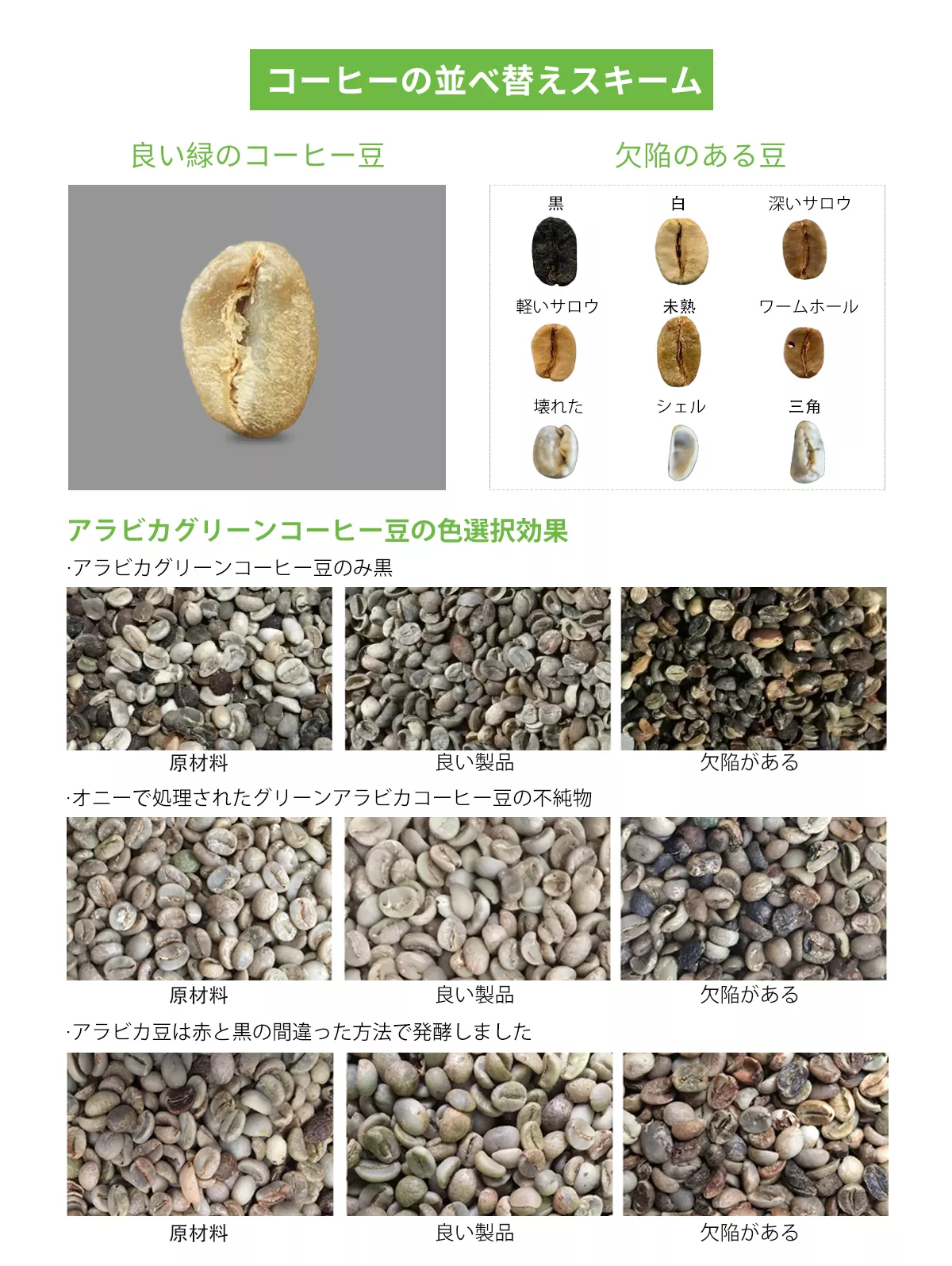 コーヒーカラーソーター -WESORT