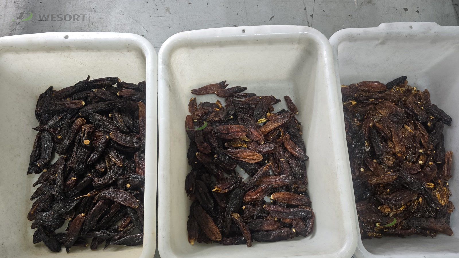 mexico-dried-chili-three-sample-groups-hero.jpg