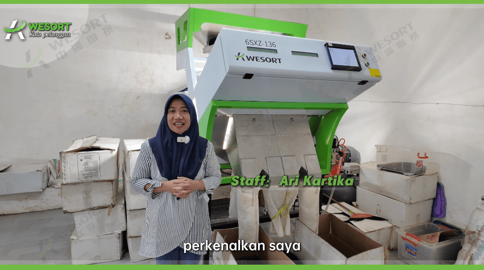 clove-color-sorter-case