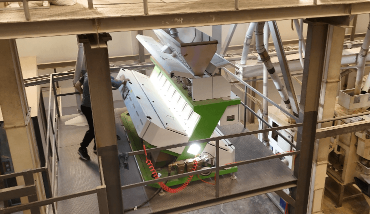  La capacité de tri de maïs WESORT à sept canaux prend en charge des lots plus importants dans l'usine du client de Bangkok.