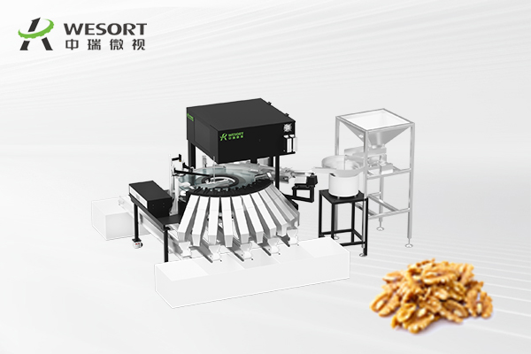 Meilleur fournisseur de trieuses de noix : Pourquoi la trieuse de noix WESORT IA se démarque