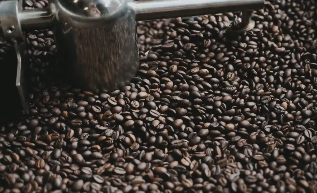 WESORT Китай кофе в зернах Сортировочная машина Производитель выставляется на World of Coffee Dubai 2026