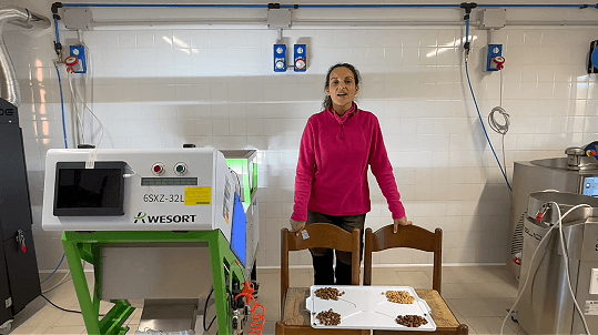 Italian Hazelnut Color Sorter Customer: Serena