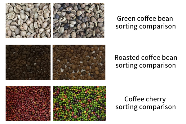 Pabrik Sorter Warna Biji Kopi Terbaik untuk Pengolahan Kopi Premium
