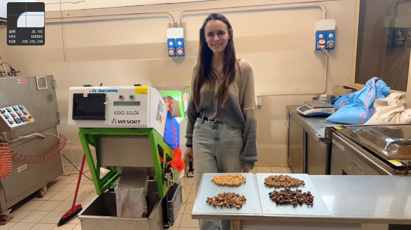 Étude de cas client du trieur de couleurs noisettes italien