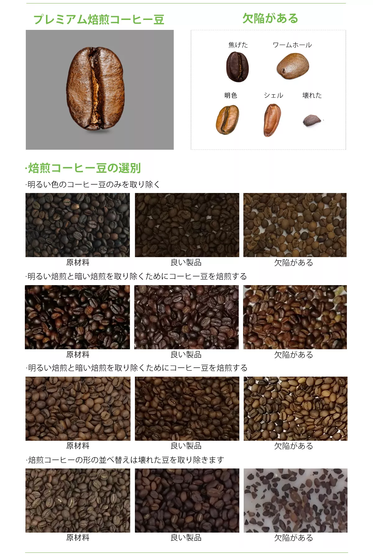 コーヒーカラーソーター -WESORT