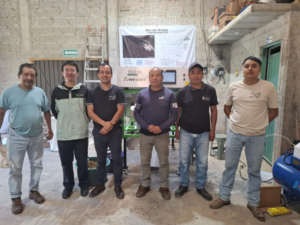 coffee-cherry-sorting-machine-puebla-mexico