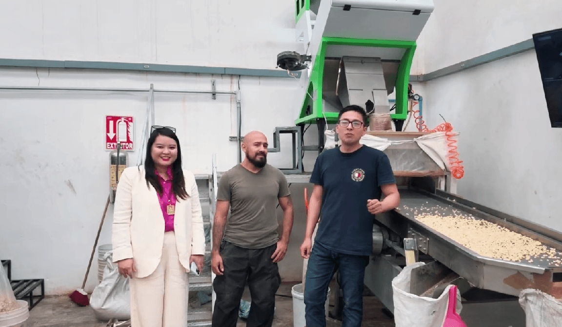 Peanut Color Sorter in Mexico: 4 Years with WESORT