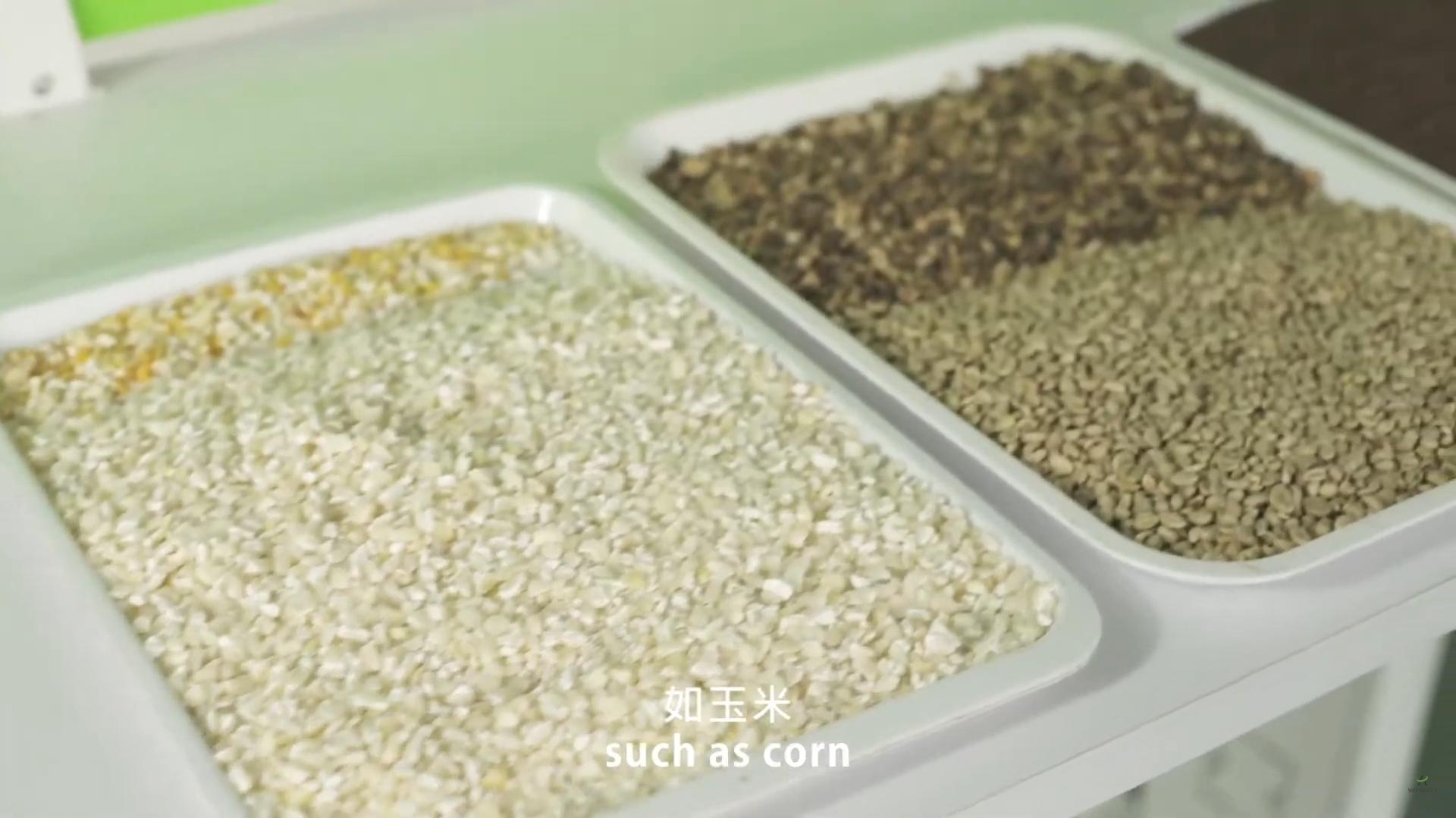 Wesort color sorter process introduction-WESORT