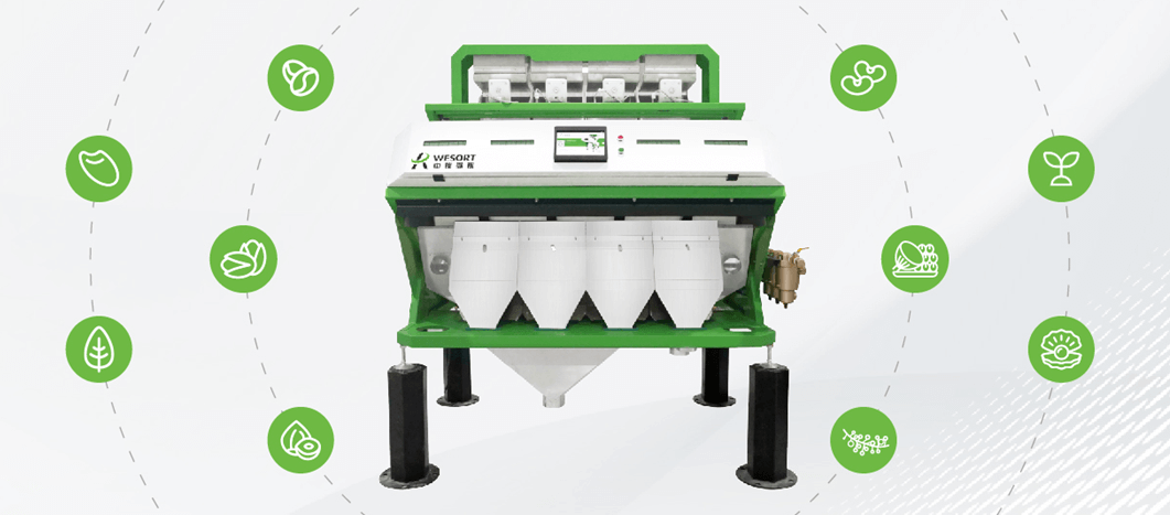Optical Sorting Solutions for Nuts: Precision in Quality Enhancement ...