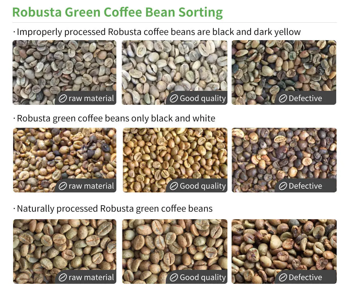 Coffee Color Sorter Machine -WESORT
