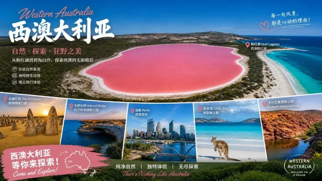 小红书笔记图片