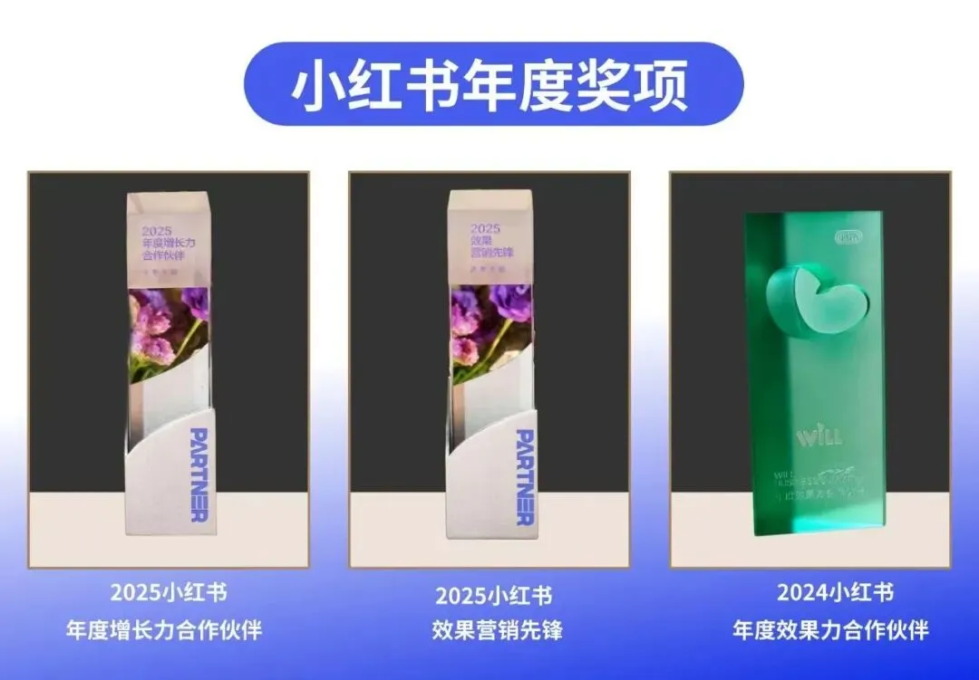 小红书各类奖项