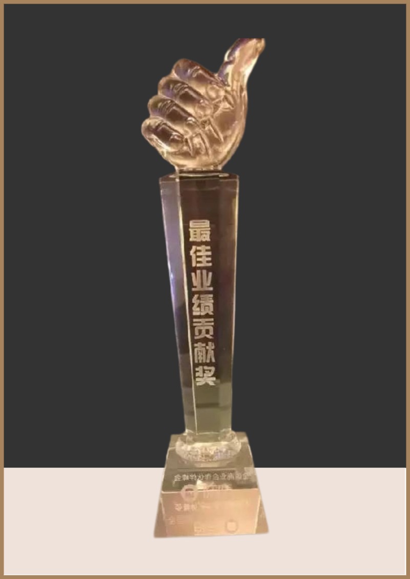 2015最佳业绩贡献奖