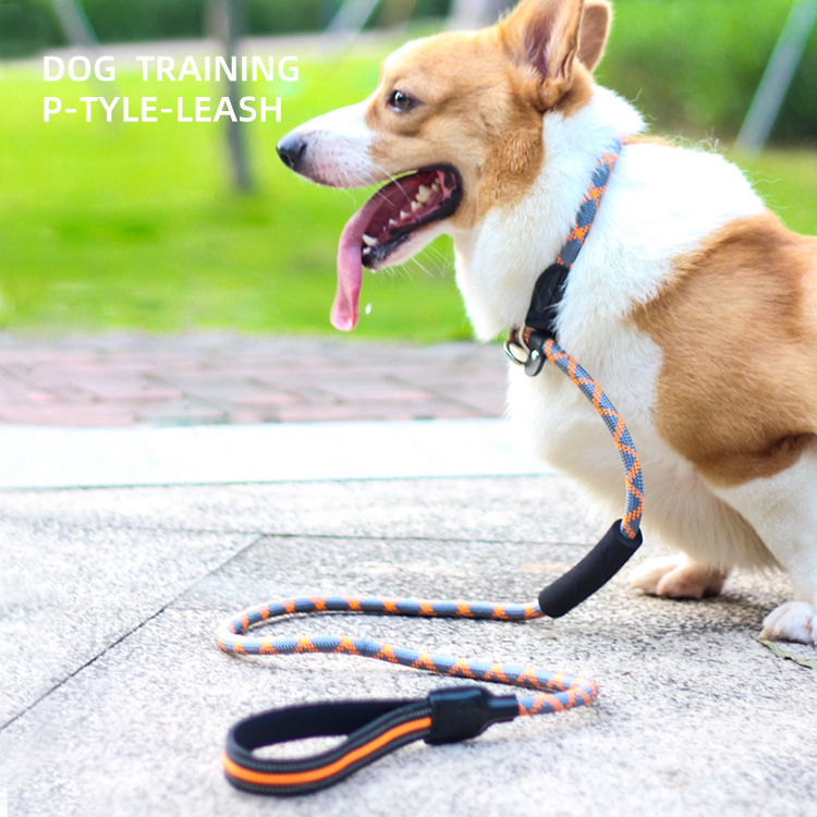 This pet dog slip lead that combines a collar and leash in one and