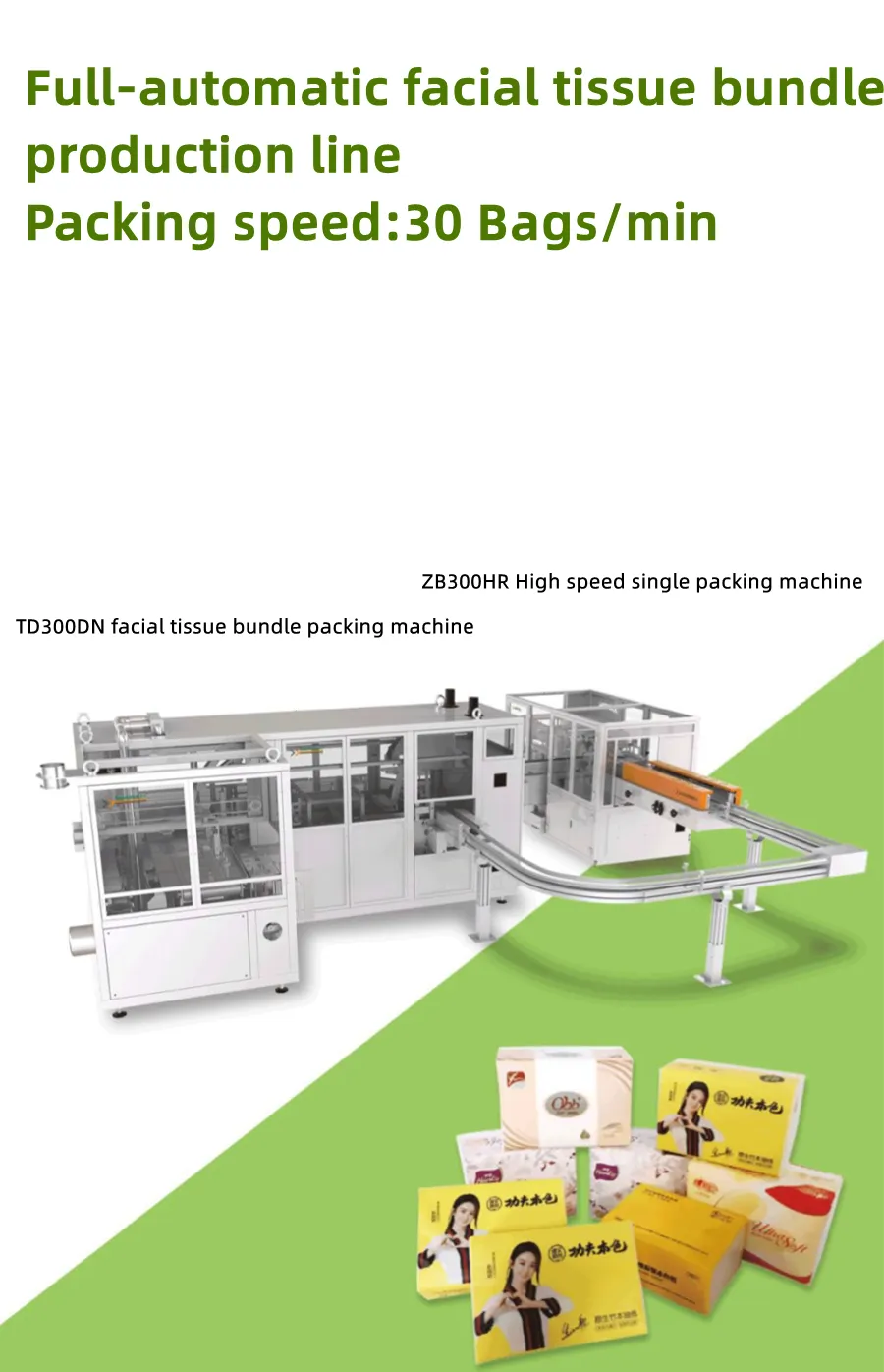 GDS210-08 Pouch Packing Machine