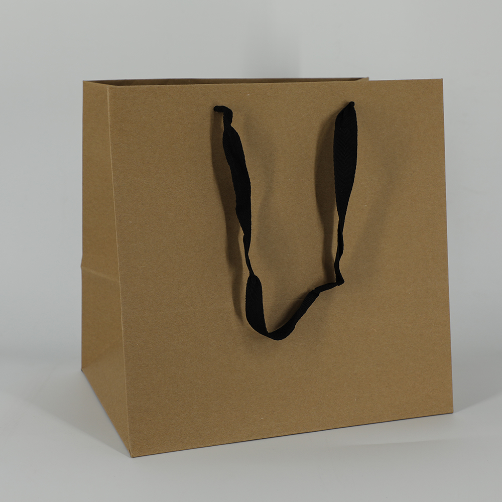 paper-bag.jpg