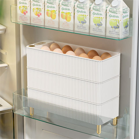 Egg carton-4.jpg