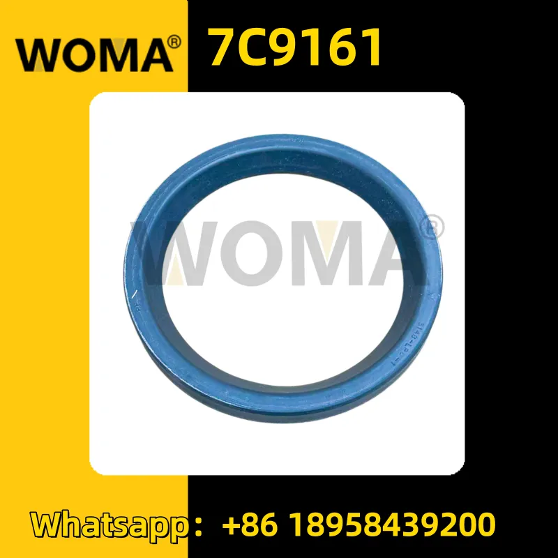 7C9161.png