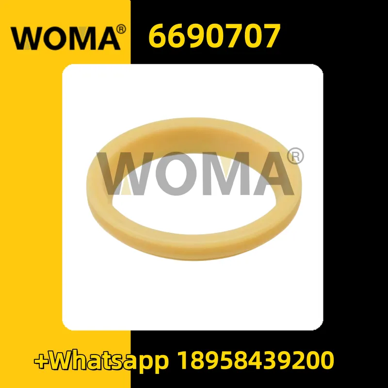 6690707 (2) _ replica.png