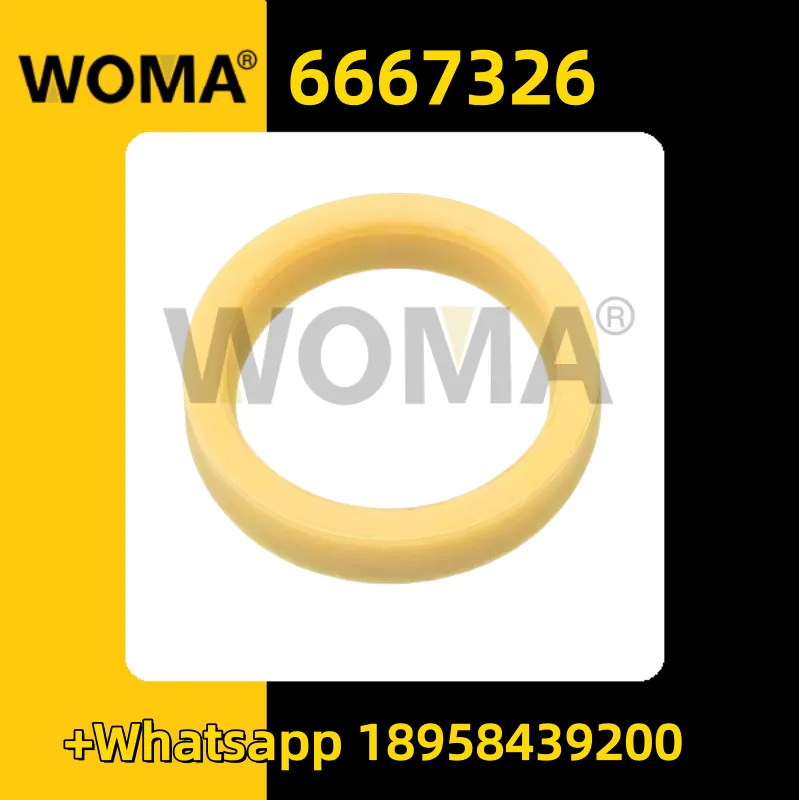 6667326 (3) _ replica.png