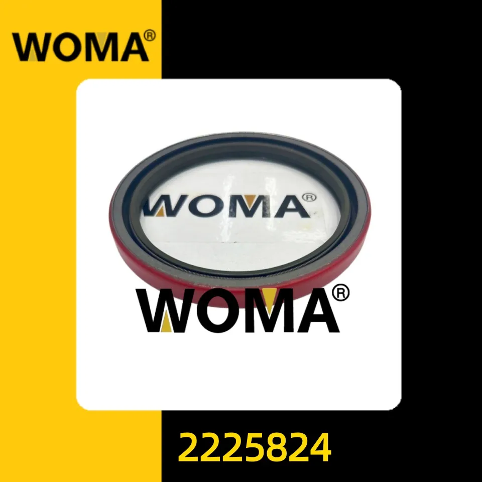 2225824.jpg