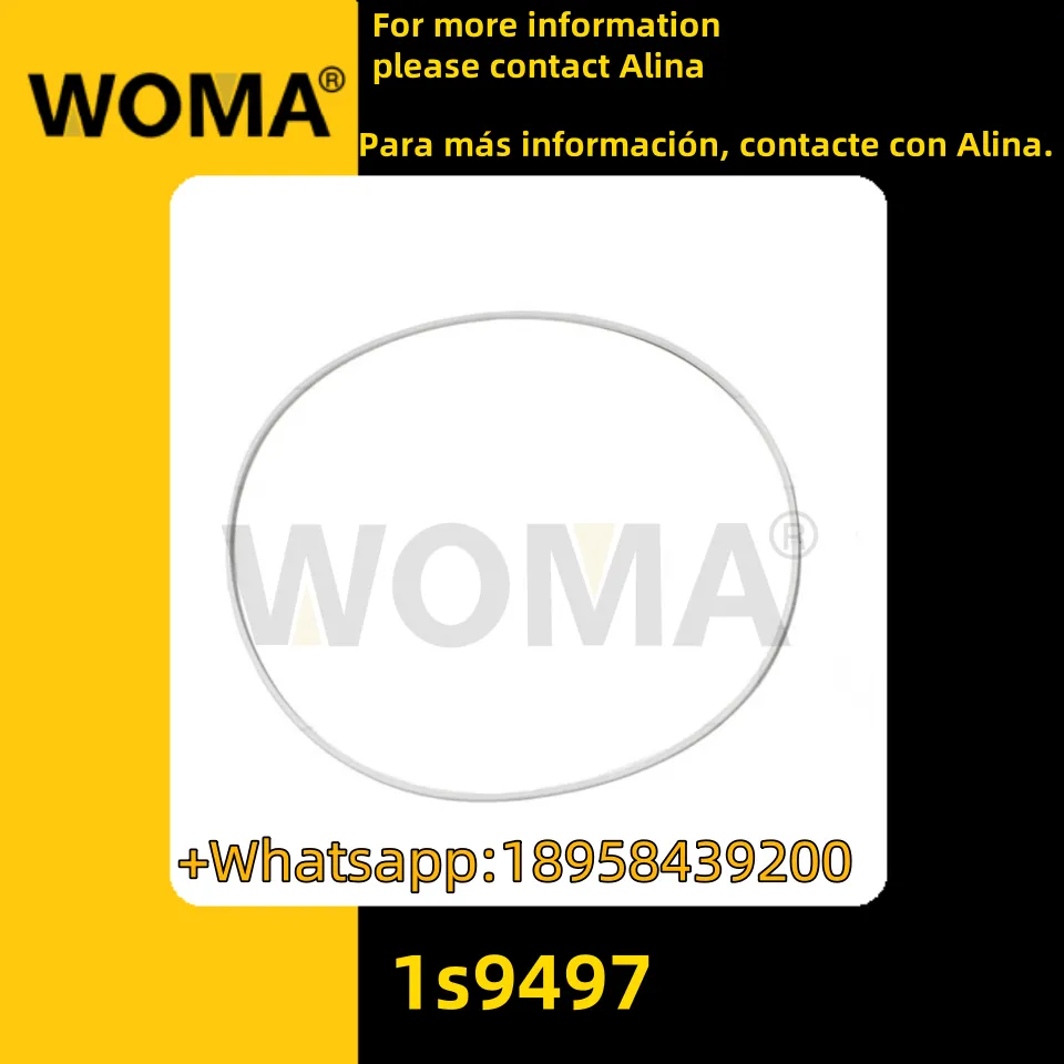 1s9497.png