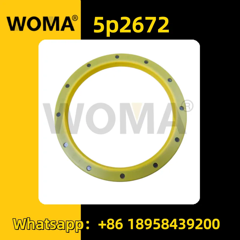 5P2672 (2) _ duplicate.png