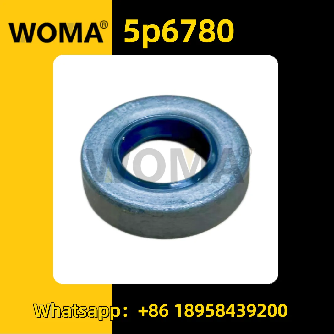 5p6780 _ replica.png