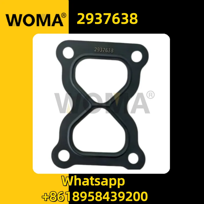 2937638 _ replica.png