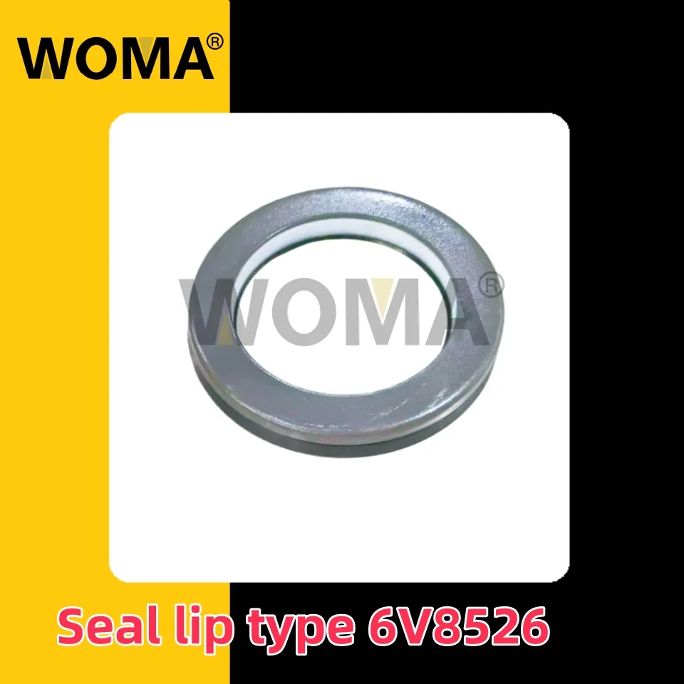 6v8526_副本.jpg