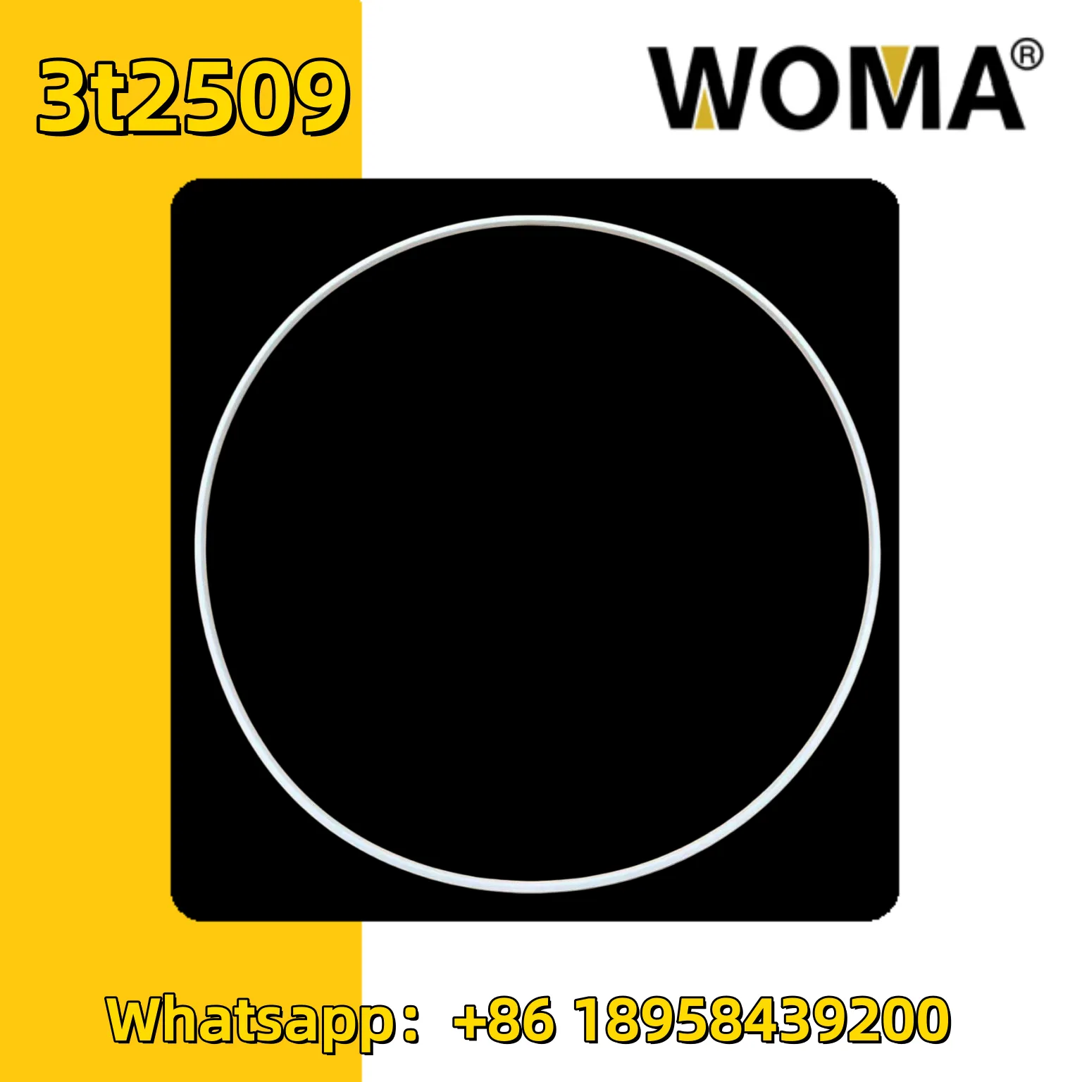 3t2509_副本.png