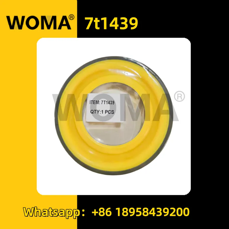 7T1439-3 _ replica.png