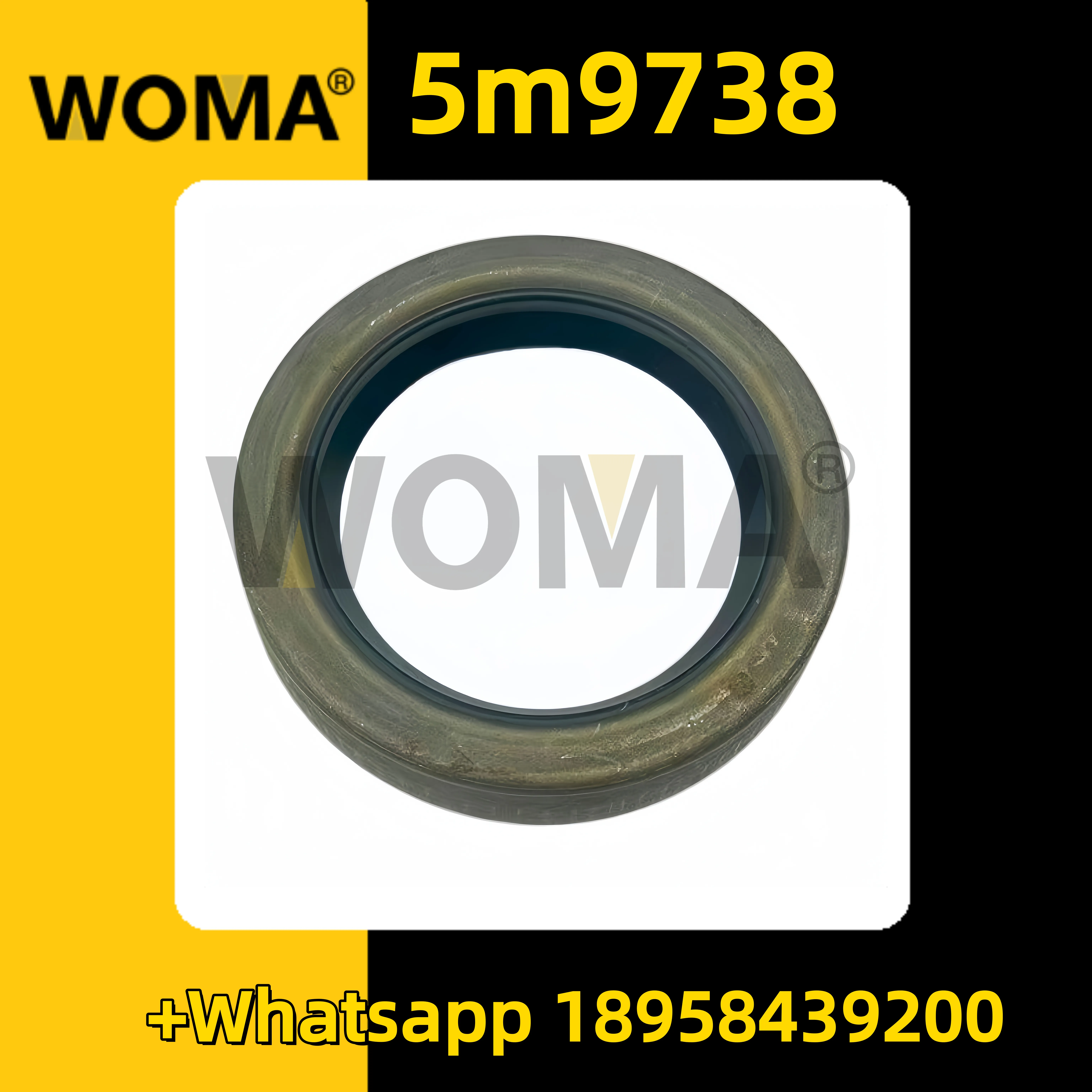 5m9738_副本.png