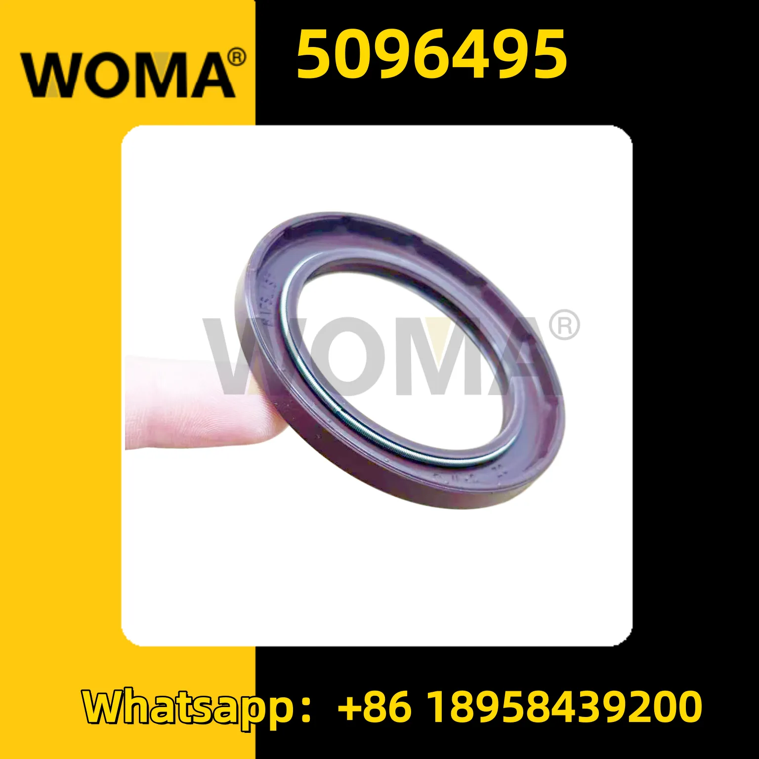 5096495_副本.png