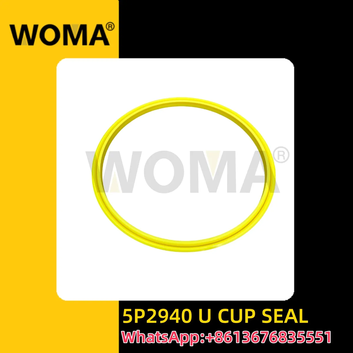 5P2940woma.jpg