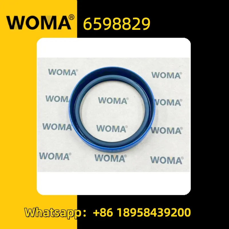 6598829 (2)_.jpg