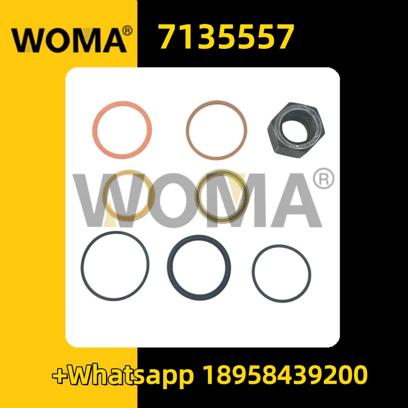 7135557 _ replica.png