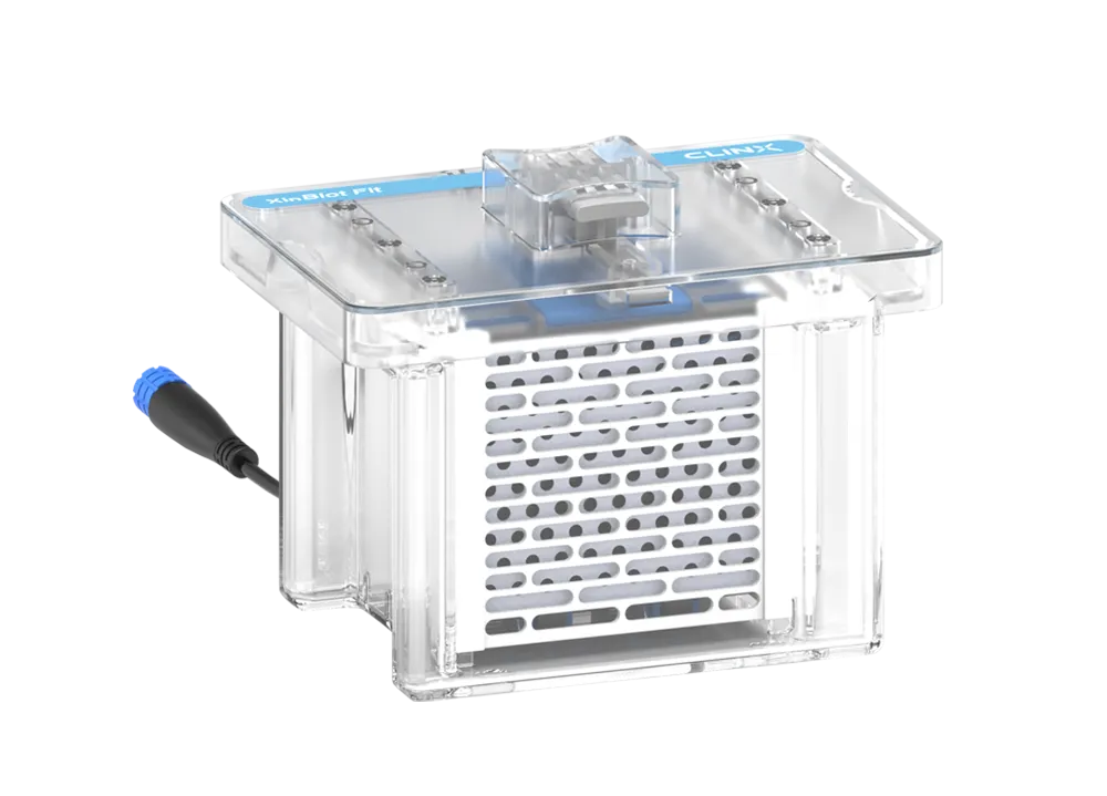 Transferencia vertical.