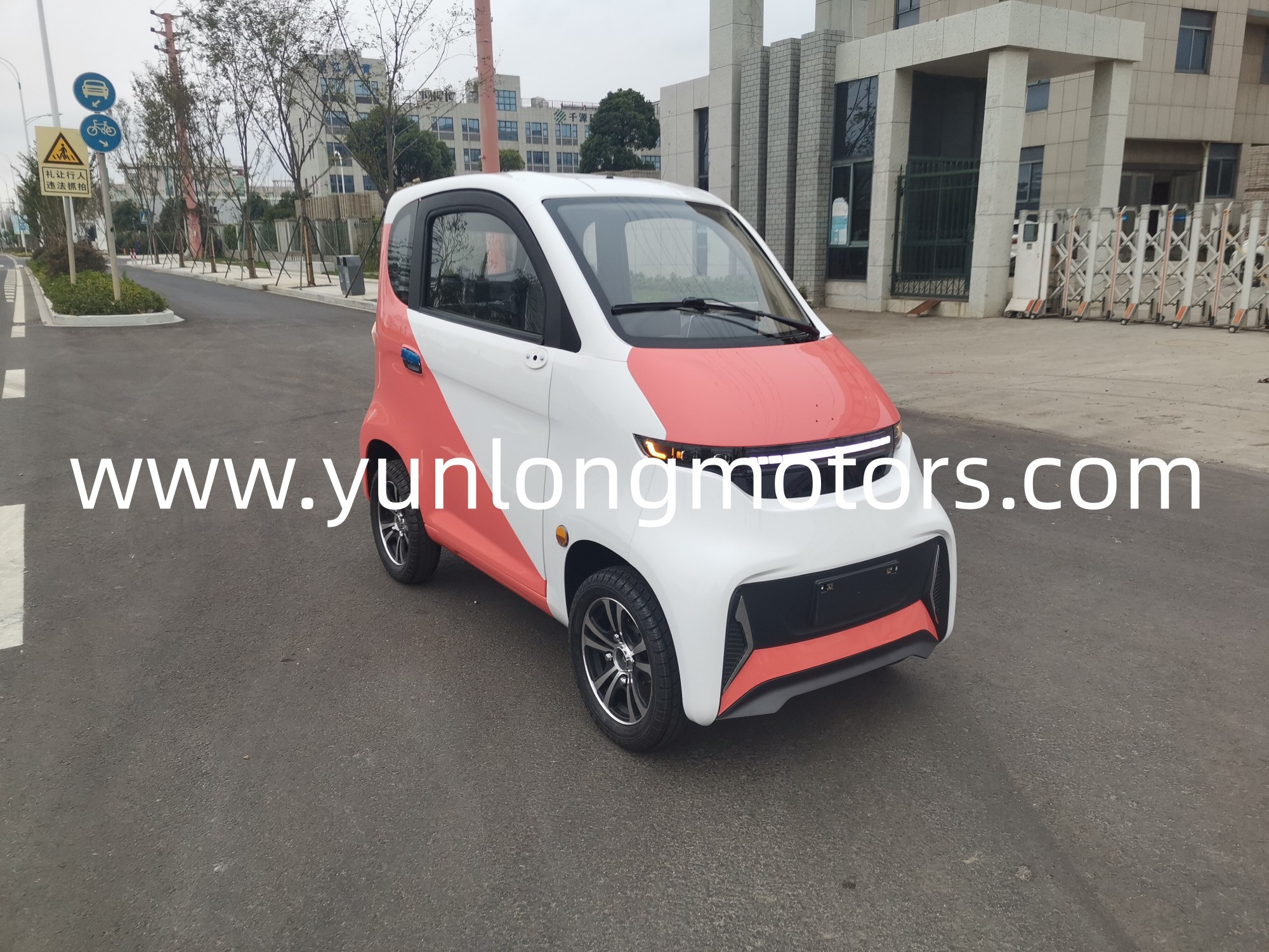 Low Speed Electric Vehicle Global Market ReportShandong Yunlong Eco