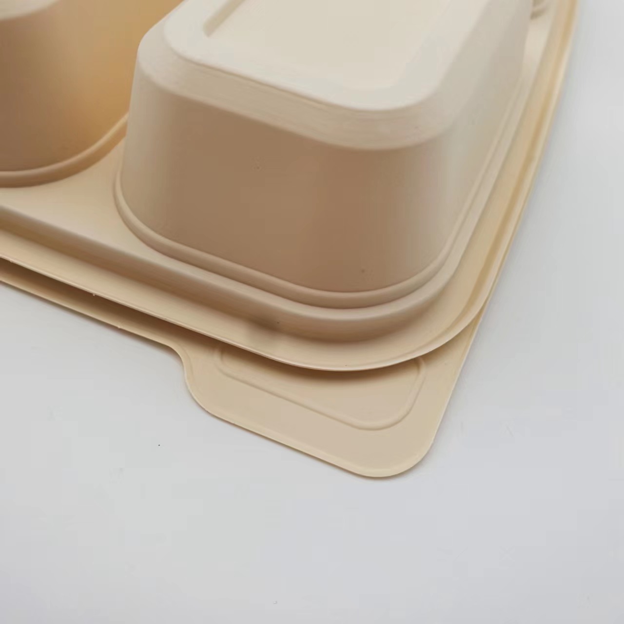 Opaque Color Thermoforming Disposable PLA Packing Films and Container